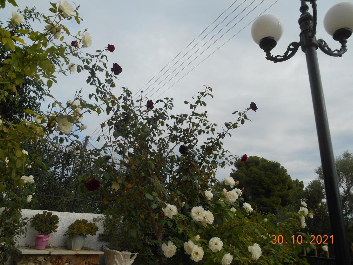 Melios Rooms Petalídhion Zewnętrze zdjęcie