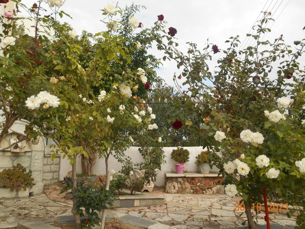 Melios Rooms Petalídhion Zewnętrze zdjęcie